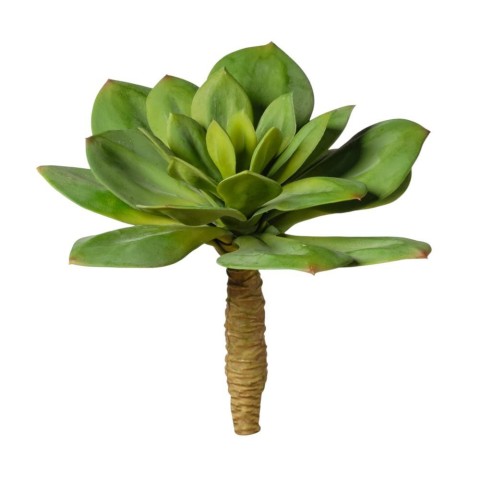 RAMO PIANTA GRASSA VERDE CM22